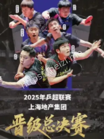 乒超总决赛名单